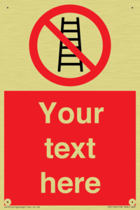 Custom No Ladders Sign